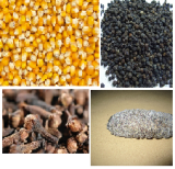 FOURNISSEUR MAIS/ HARICOT BLANC/ CONCOMBRE DE MER/EPICES