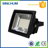 50W a mené la lumière d'inondation