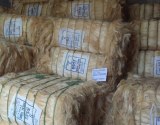 BEST QUALITY SISAL FIBER