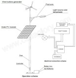 Wind solar hybrid street lamp