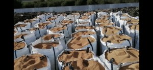 Noyaux d'olive épuisés/grignon d'olive)