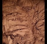 Poudre de Cacao 100% Naturel – Qualité Export