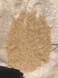 Graines de sésame blanches du Tchad (variété S42)