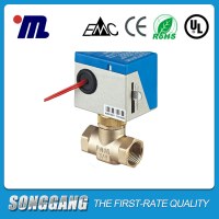 Hot sale Switching electric valve AC hysteresis gear motor TH-BS818 for regulating wate...