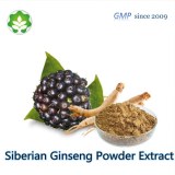 Siberian ginseng eleuthero extract for functional drink