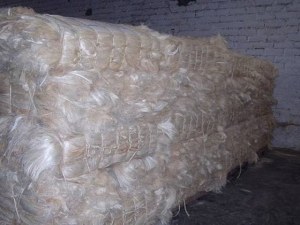 Sisal Fiber de UG et SSUG