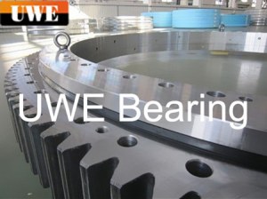 Stacker/reclaimer slewing bearing
