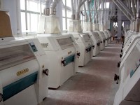 Small and High productivity wheat flour mill machine