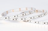 SMD 2835 30LED/M Led Strip light