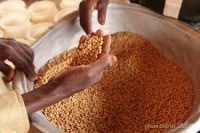 Soja du Bénin à vendre