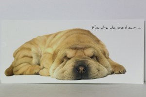 C024 CHIEN - FONDRE DE BONHEUR - Lot de 25 cartes postales panoramique