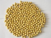 Soja jaune OGM non destinés à l'exportation