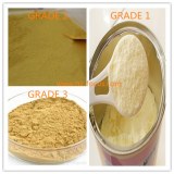 Soya Lecithin Powder