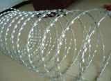 SS304/SS316 Barbed Wire