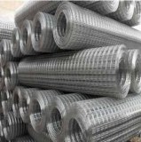 Hot Dipped Galvanized Stainless Steel Welded Wire Mesh/PVC Coated Welded Wire Mesh