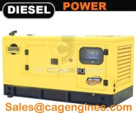 Powered by Cummins Diesel Engine Standby Generator