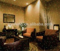 Lumière laser de Noël (certificat ROHS & CE)