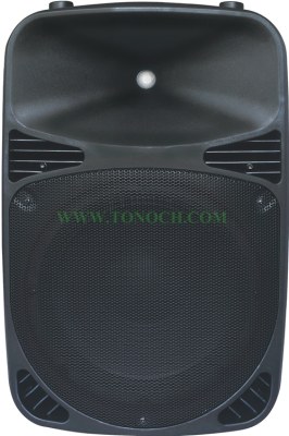 THE 12/15 BU Series Active Sound Box with 2 MIC INPUT in It