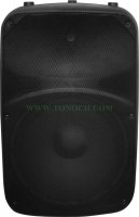 THR 12/15 BU Series Active Sound Box with 2 MIC INPUT in It