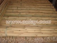 Dry bamboo poles HIGH QUALITY