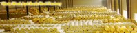 China Iking glass wool on sale