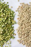 Top Quality Organic Lentils (Green/Red/Black/Brown/Split) New Crop 2016