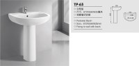 TP-63