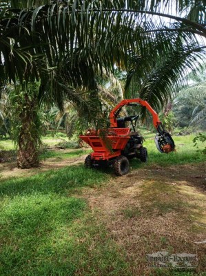 Palm oil plantation 44 tractor