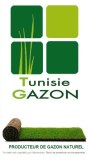 Gazon naturel de haute qualité en Tunisie