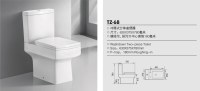 TZ-68