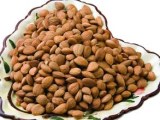 Bitter Apricot kernels
