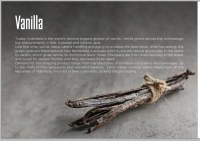 Vanille Gourmet Planifolia