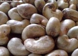 Vente de noix de cajou