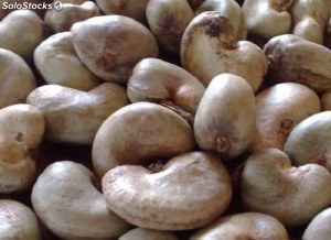 Vente de noix de cajou