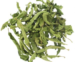 VERVEINE de Qualités en GROSSES Quantités