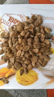 Supply Picralima Nitida seeds ,Akuamma seed 