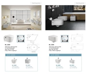 Toilettes suspendues 3L par SHUNT flushing
