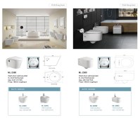 Toilettes suspendues 3L par SHUNT flushing