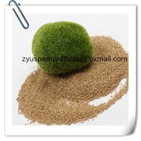 Walnut shell filter media