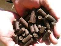 Vente granules pellets de grignon d'olive en vrg