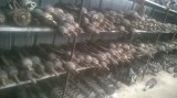 LOT DE CARDANS AUTOMOBILES TRANSMISSIONS