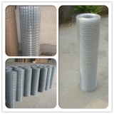 Welded wire mesh,hardware cloth
