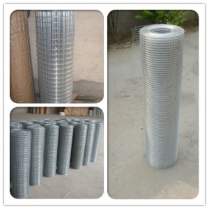 Welded wire mesh,hardware cloth