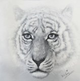 100% Handmade Abstract Tiger Canvas Oil Painting of Top Selling