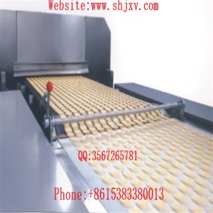 Saiheng Far Infrared Tunnel Electric Oven
