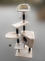 Meubles de chat Arbre & Cat Scratching Arbre, jouets pour chats, jouets pour animaux de...