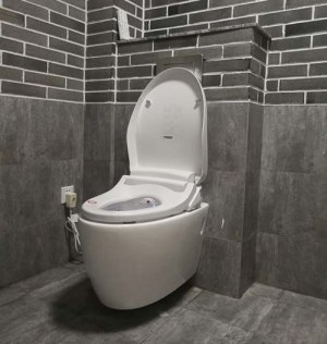 SAT530 bidet intelligent de drainage de drainage accroché au mur