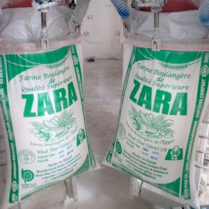 ZARA Brand 50 KG Egyptian producer best price