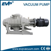 ZJ Roots Vacuum Pump