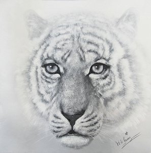 100% Handmade Abstract Tiger Canvas Oil Painting of Top Selling